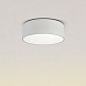 Плафон Pot 25210/31