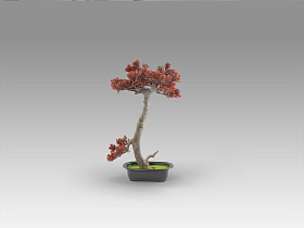 Bujin-hi bonsai 45cm набор из 2 предметов
