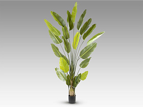 Ave paraiso Искусственное растение H250