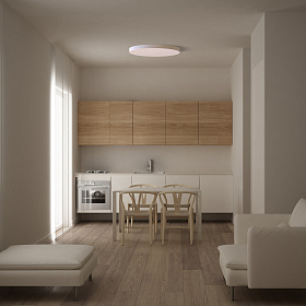 Потолочный светильник TURIN 9022