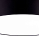 ARIS Потолочный светильник черный/черный LED 20W 2700K