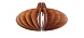 Люстра Nautilus