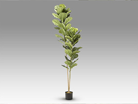 Higuera violin Искусственное растение H200