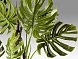 Monstera Искусственное растение H210