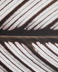 Фотография листа Foliae размер 52,5 x 62,5 см