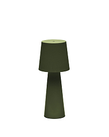 Arenys Большая переносная настольная лампа в зеленом цвете