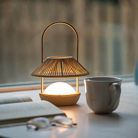 Уличная переносная настольная лампа Candela