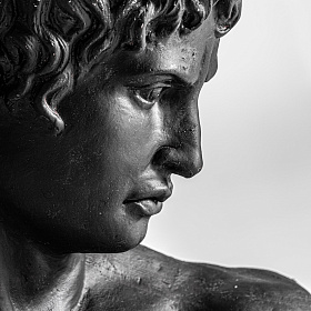 Бюст HELIOS 33800