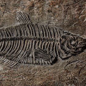 Прямоугольная шкатулка 23236