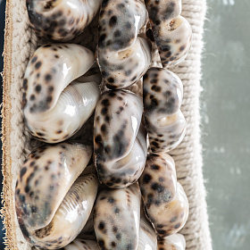 Зеркало THOLY