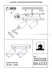 BR08084 Потолочный светильник-спот ARAS