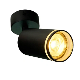 Потолочный светильник-спот ARAS BR08078
