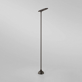 Уличный светильник Birdie B/100L