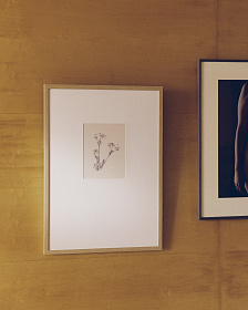 Картина Lirena с ботанической иллюстрацией 50 x 70 см