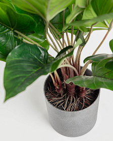 Flower Искусственный антуриум 45 см