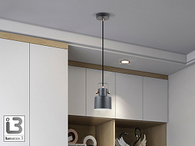 Erika Подвесной светильник 1L черный-медный