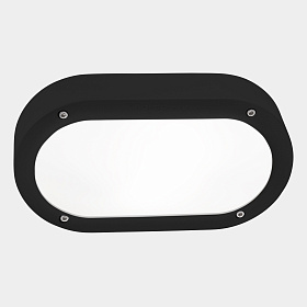 Уличный настенный светильник Basic Oval IP66 E27 15W Черный