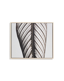 Фотография листа Foliae размер 52,5 x 62,5 см