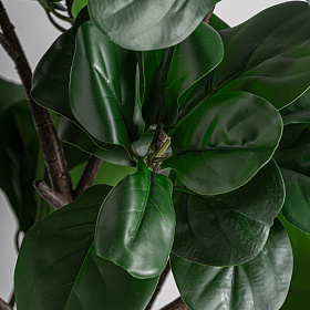 Искусственное растение FICUS 37727