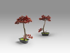 Bujin-hi bonsai 45cm набор из 2 предметов