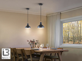 Irias Подвесной светильник 1L черный-медный