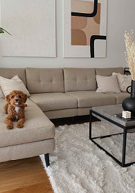 Шерстяной стираемый ковер Enkang слоновая кость 170*240