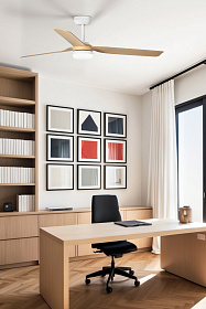 Вентилятор с освещением PUNT DC белый/светлое дерево