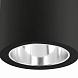 Потолочный светильник Pote-1 черный 1L 