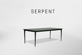 Стол обеденный Serpent CARBON 220x100