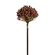 Искусственное растение ALLIUM