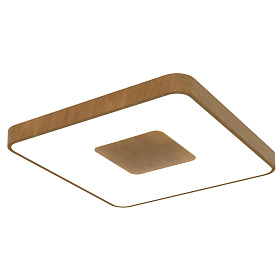 7918 Потолочный светильник COIN