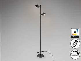 Taros Торшер 2L черный