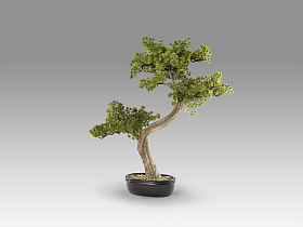 Bankan II bonsai 49cm набор из двух предметов