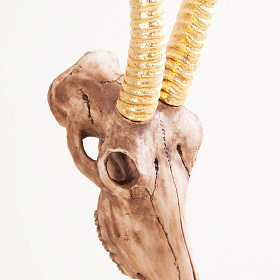 Бюст козла CABRA