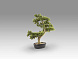 Bankan - bonsai 75cm Искусственное растение 
