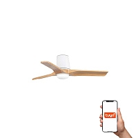 Потолочный вентилятор HEYWOOD TUB S Ш900 белый/сосна 3P LED 10W TUYA