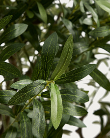 Искусственное дерево Artificial Olive в белом горшке, 210 см