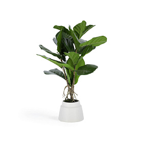 Flower Искусственное растение лирата 60 см