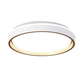 Потолочный светильник VERONA 9028