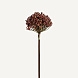 Искусственное растение ALLIUM