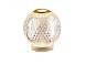 Austral Настольная лампа 1L золотая
