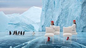 Стул Valentina Up