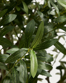 Искусственное дерево Artificial Olive в белом горшке, 210 см