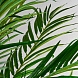 Пальмовое растение искусственное PALMERA