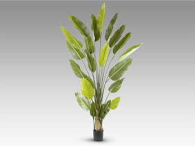 Ave paraiso Искусственное растение H250