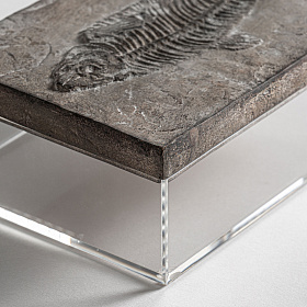 Прямоугольная шкатулка 23236