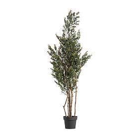 Искусственное растение BOJ