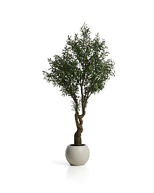 Искусственное дерево Artificial Olive в белом горшке, 210 см