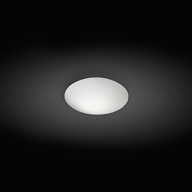 Потолочный/настенный светильник Puck 5402