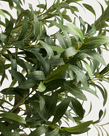 Искусственное дерево Artificial Olive в белом горшке, 210 см